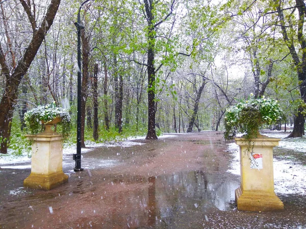 Tiro Carretera Parque Neskuchny Garden Moscú Anomalía Meteorológica Cambio Clima — Foto de Stock