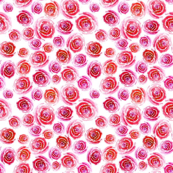 Rosas Rosa Vermelhas Tamanhos Diferentes Fundo Branco Lindas Flores Watercolor — Fotografia de Stock