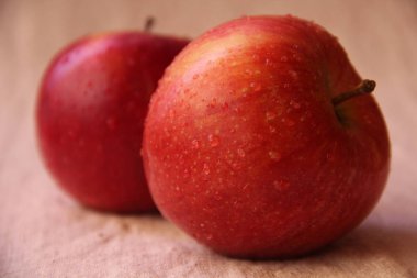 masada kırmızı sulu elma