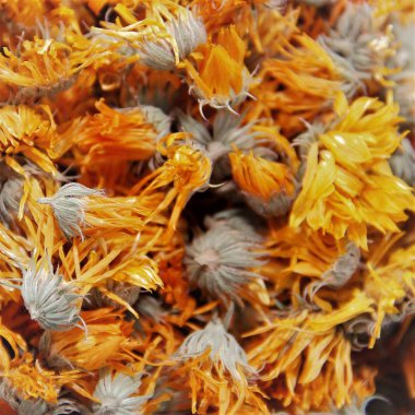 calendula kuru tıbbi çiçekler