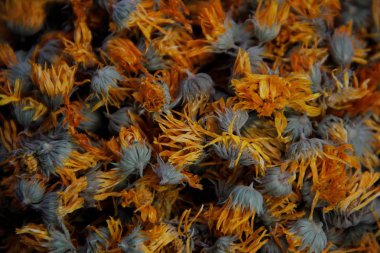 calendula kuru tıbbi çiçekler