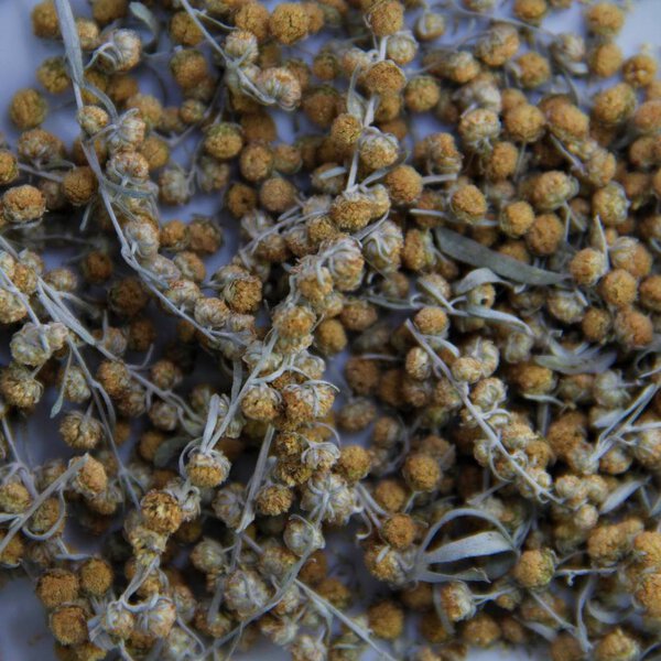 сушеная трава
