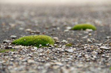Eski asfalt bozulmaya başlar