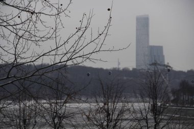 Aralık ayı Moskova'da