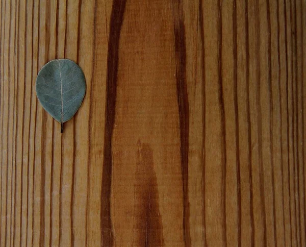 月桂樹の葉 木の板 — ストック写真
