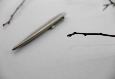 beyaz kağıt dallarda