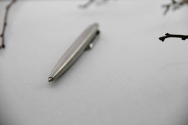 beyaz kağıt dallarda