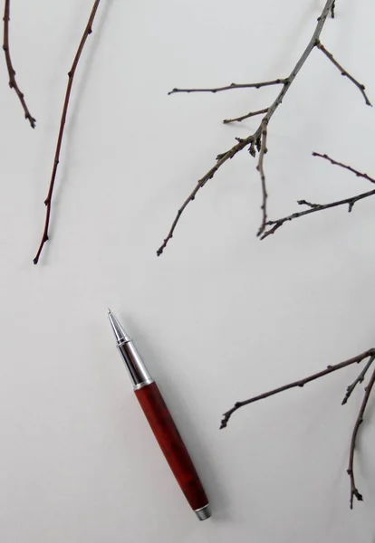 Branches White Paper — Stock Photo, Image