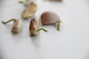 Beyaz arkaplanda sarımsak