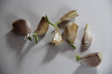 Beyaz arkaplanda sarımsak