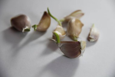 Beyaz arkaplanda sarımsak