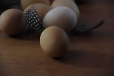 Tavuk yumurtası ahşap tablo