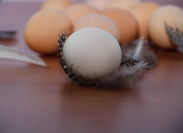 Œufs Poulet Sur Table Bois — Photo