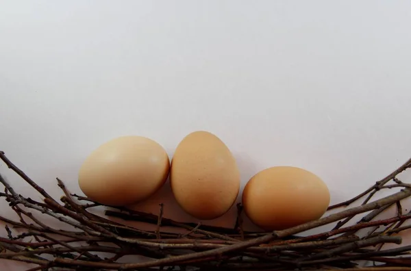 Курячі Яйця Гнізді — стокове фото