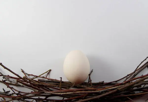 Kippeneieren Het Nest — Stockfoto