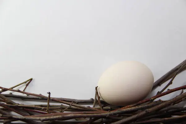 Hühnereier Nest — Stockfoto