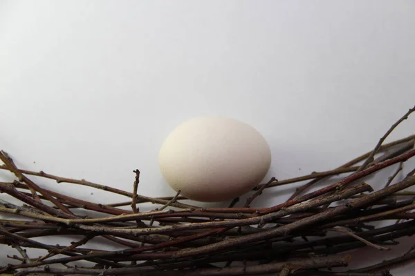 Chicken Eggs Nest — Stock Photo, Image