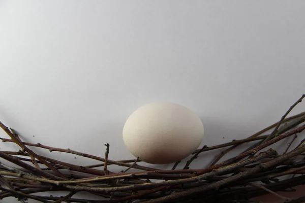 Hühnereier Nest — Stockfoto