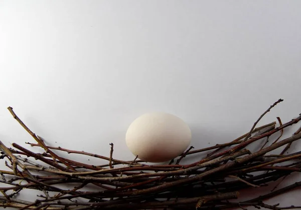 Chicken Eggs Nest — Stock Photo, Image