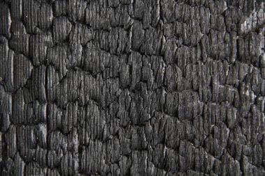 eski ahşap bina yandı