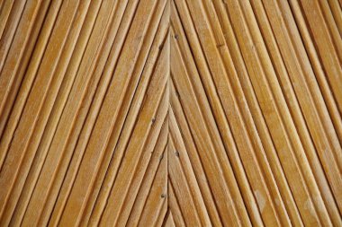 Eski ahşap evin kapı