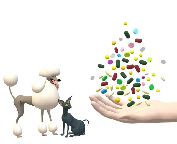 Verschiedene Medikamente Für Tiere — Stockfoto