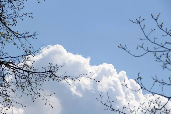 Blue Sky Beautiful Air Clouds — Stock Photo, Image