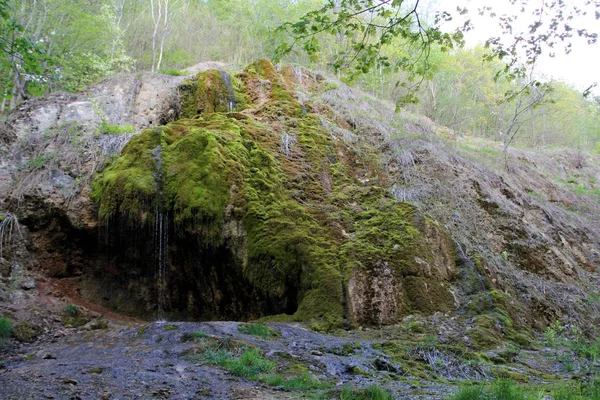 Forest Flowing Spring Water — Stock Photo, Image