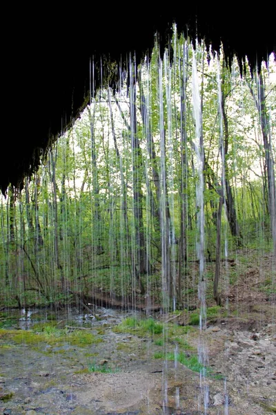 Forest Flowing Spring Water — Fotografia de Stock