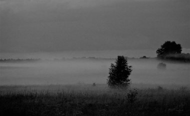 bir yaz yağmurundan sonra kalın bir sis