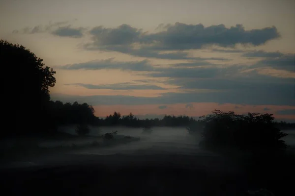 Gruba Mgła Letnim Deszczu — Zdjęcie stockowe
