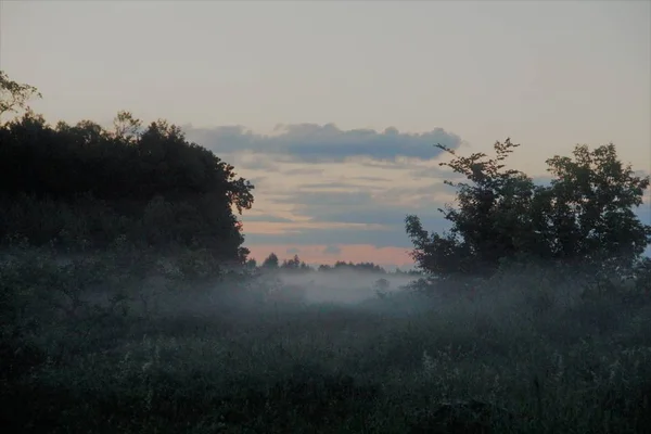 Thick Fog Summer Rain — Stock Photo, Image