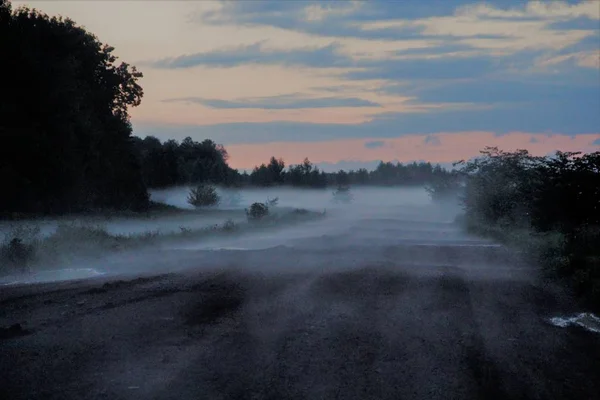 Gruba Mgła Letnim Deszczu — Zdjęcie stockowe
