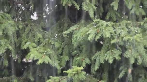 grêle en été en Russie 