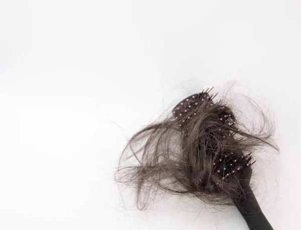 beyaz arka planda saç ile tarak