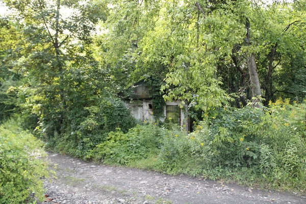 树林里废弃的旧小房子 — 图库照片
