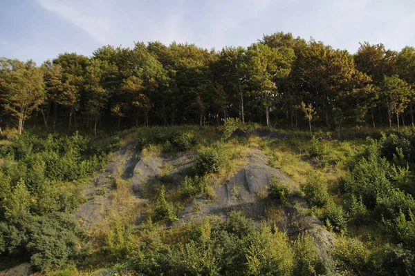 Protective Mesh Strengthening Slopes — Stock Photo, Image