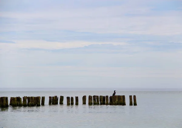初夏波罗的海沿岸 — 图库照片