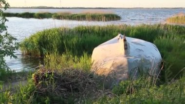 Yazın başında körfezde.