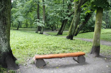 Yazın yağmurdan sonra park et