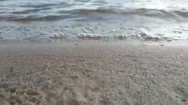 Kaliningrad bölgesinde yaz mevsiminde Baltık Denizi