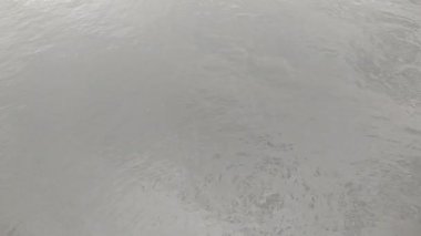 Kaliningrad bölgesinde yaz mevsiminde Baltık Denizi