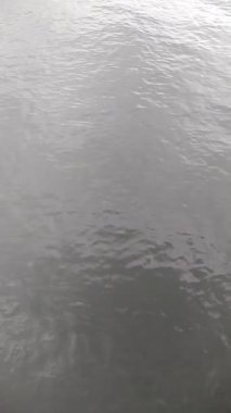 Kaliningrad bölgesinde yaz mevsiminde Baltık Denizi