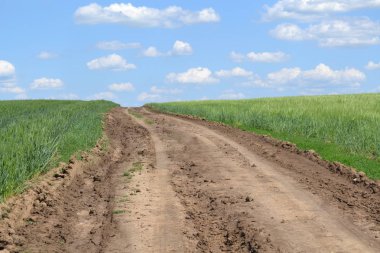 Büyük güzel alan. Doğa