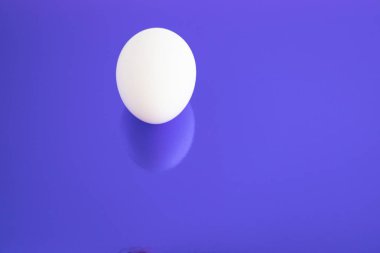 Mavi bir arka plan üzerinde beyaz tavuk yumurta.