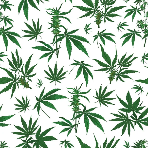 Vector Marihuana Hanfblätter mit Samen nahtlosen Muster Hintergrund Stockvektor