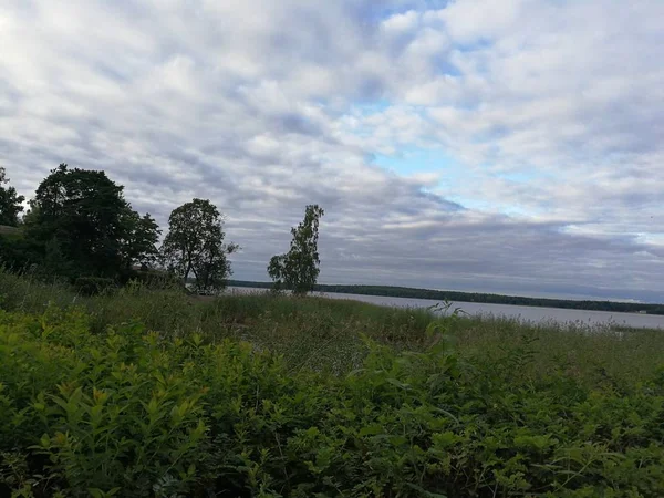 Doğa yaz yaz gökyüzü