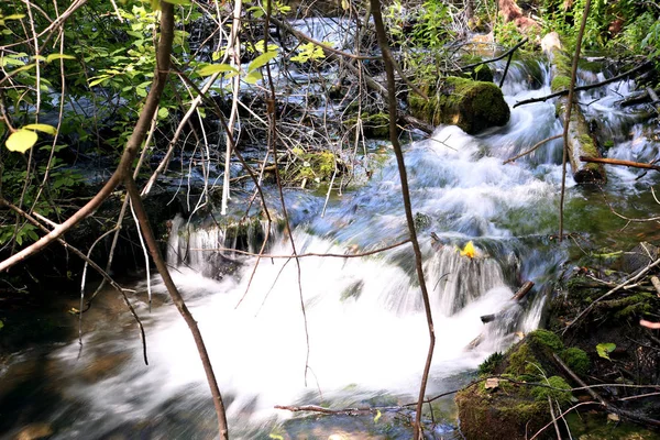 Ülkede küçük şelale