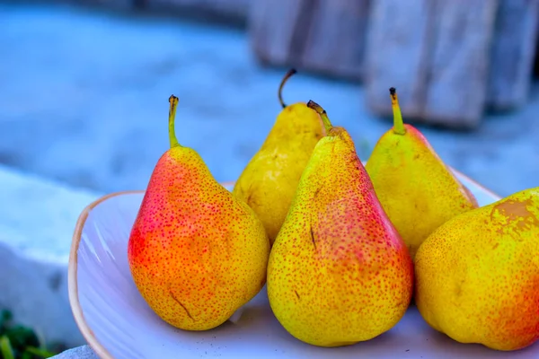 Red and yellow pears on the background of an old tree