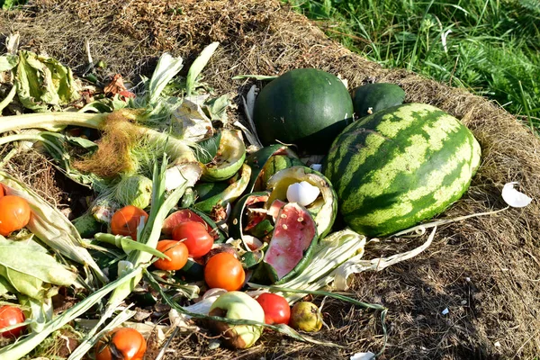 Compost heap with rotting food and vegetable remains